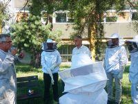 Bee Abeille ruches en entreprise - ATOS Bull