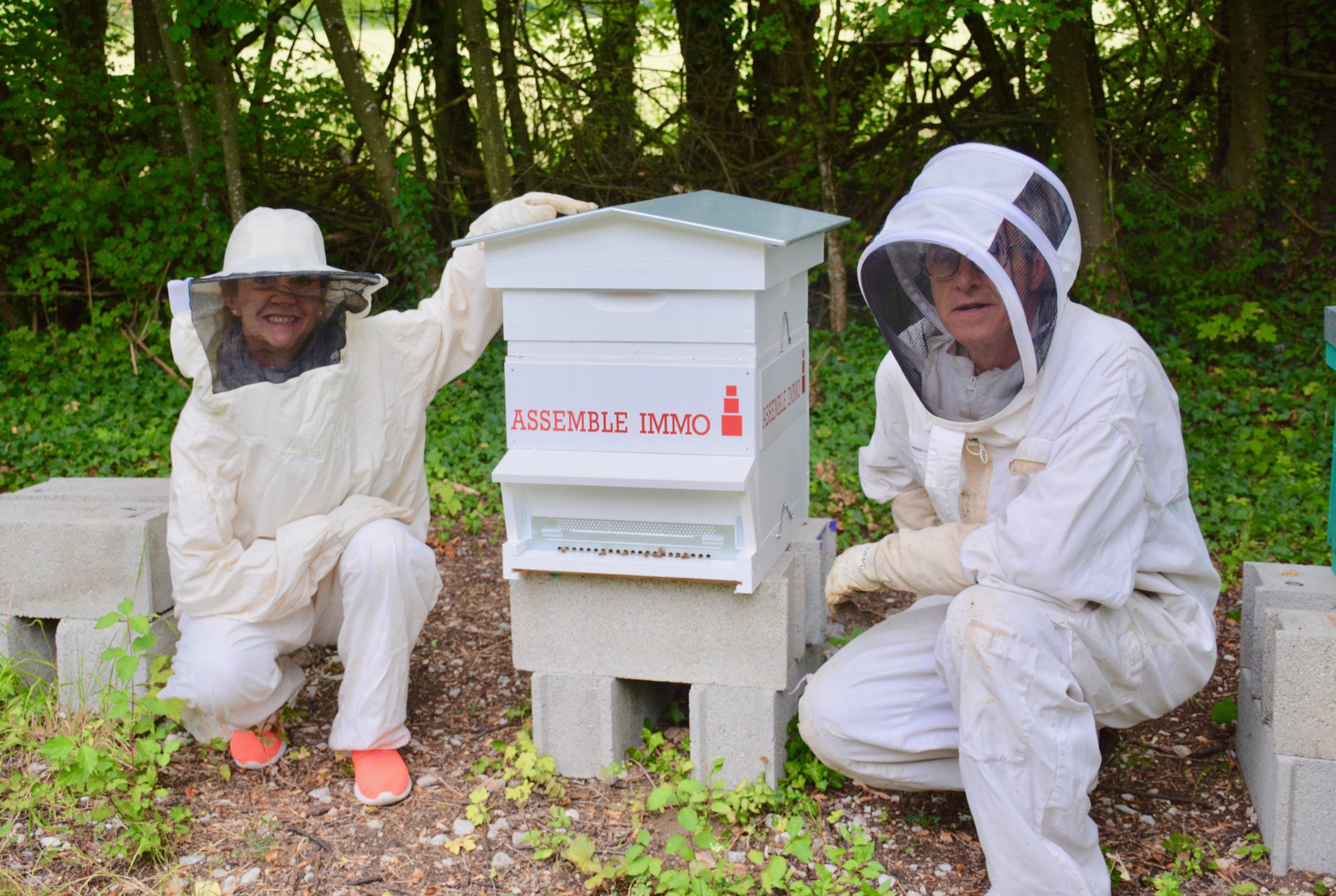 Bee Abeille - parrainage Assemble Immo