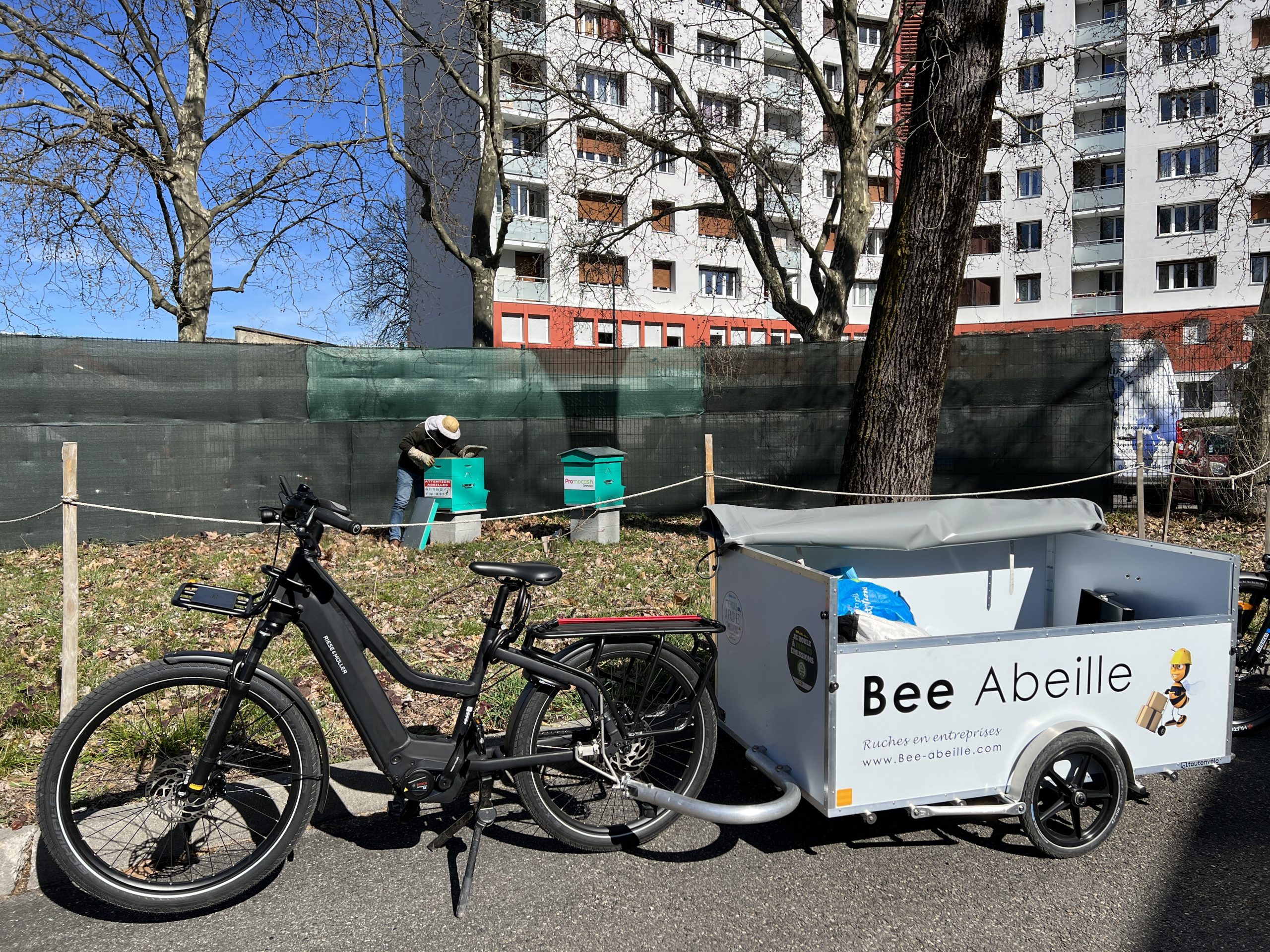 Bee Abeille - Vélo remorque