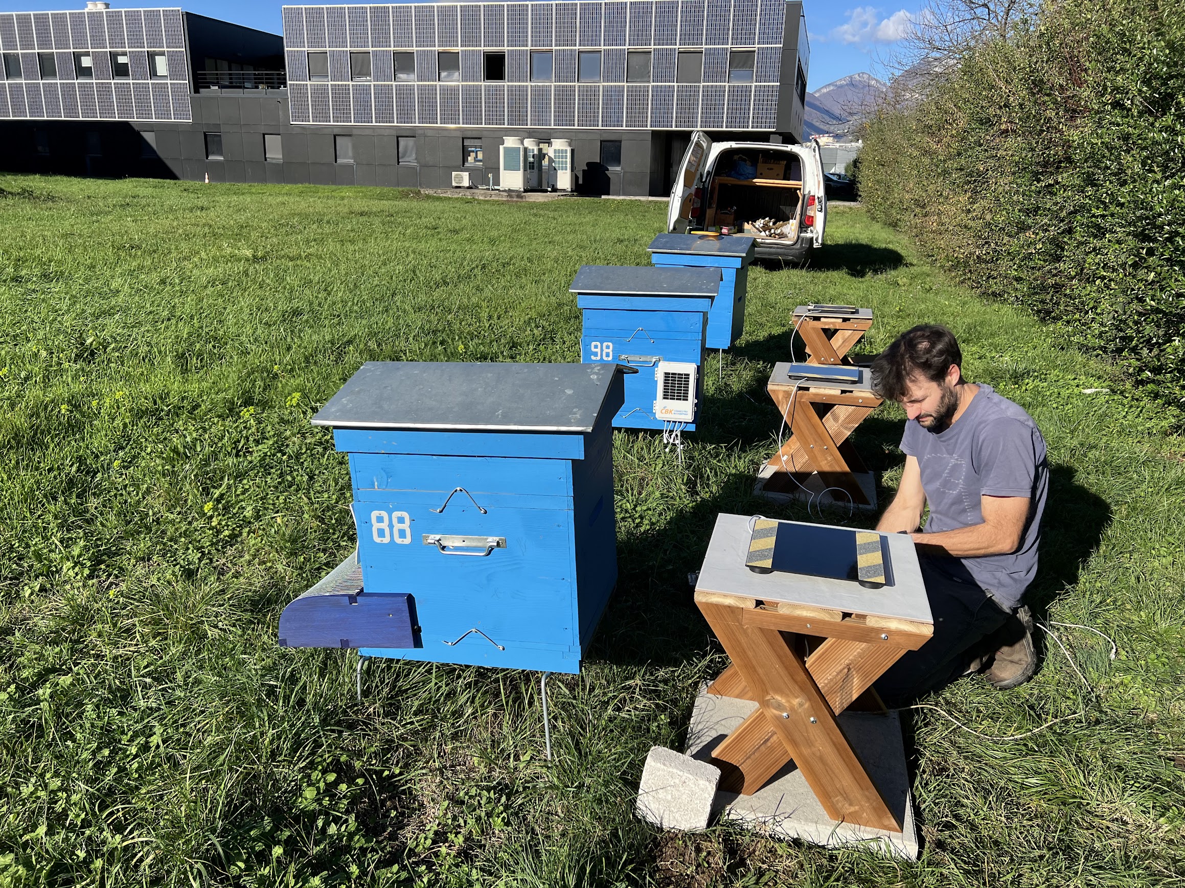 Bee Abeille rucher de Sincrone