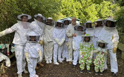 Bilan d’une belle saison aux abeilles