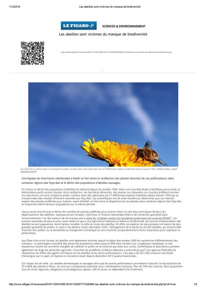 Les-abeilles-sont-victimes-du-manque-de-biodiversité-1