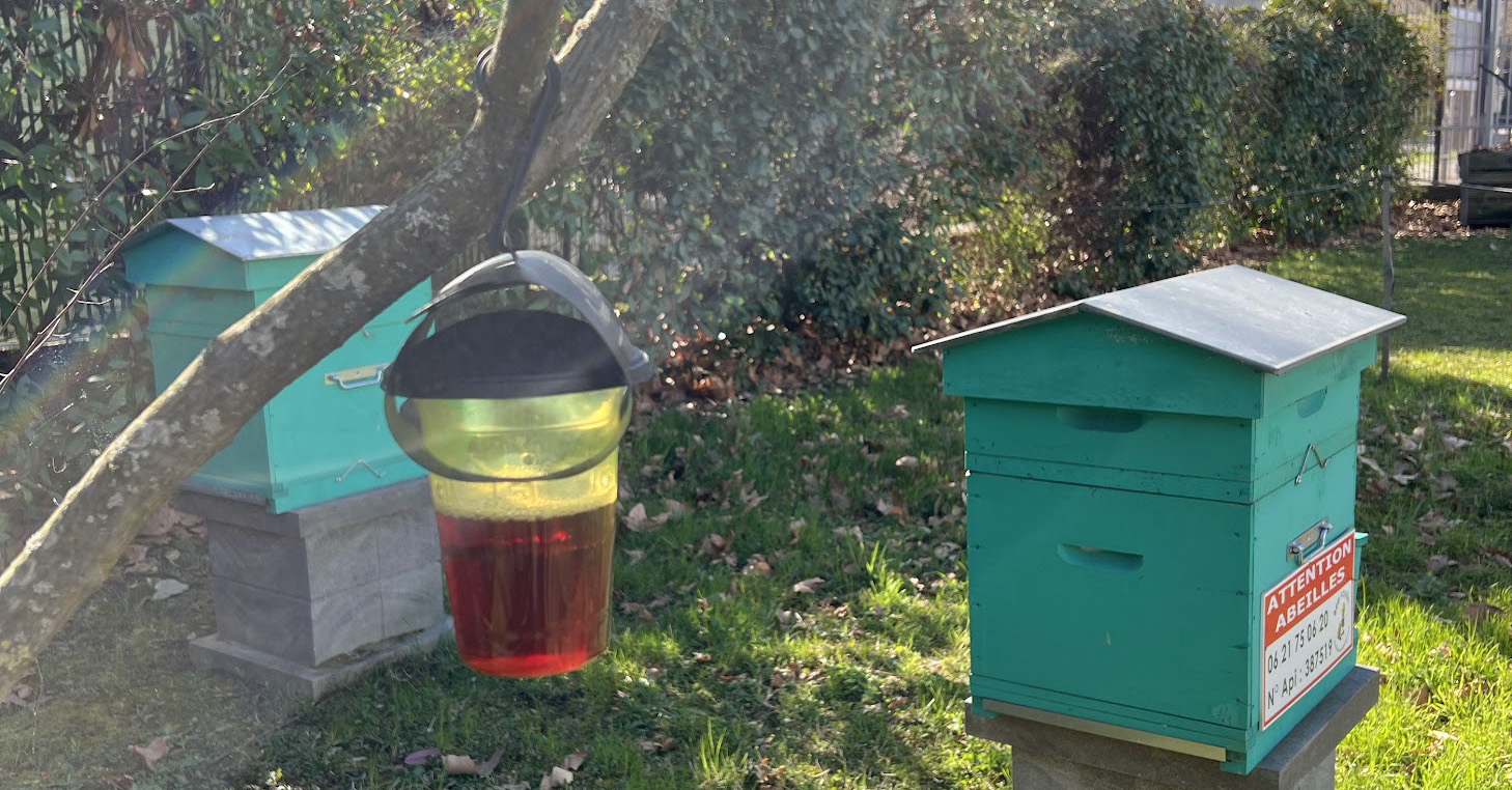Bee Abeille a installé sur tous ses ruchers des pièges sélectifs à base d'appâts d’un mélange de bière brune, de vin blanc et de sirop de grenadine.