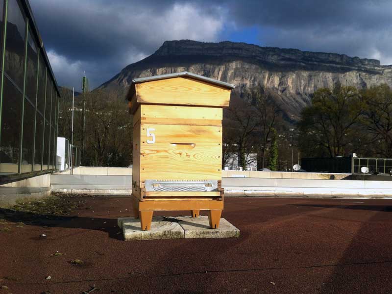 Installation de la ruche sur le toit des entreprises Hipcom et Realiss