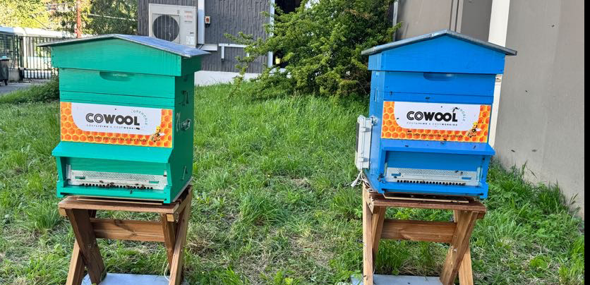 Rucher Cowool Grenoble